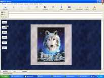 wolf